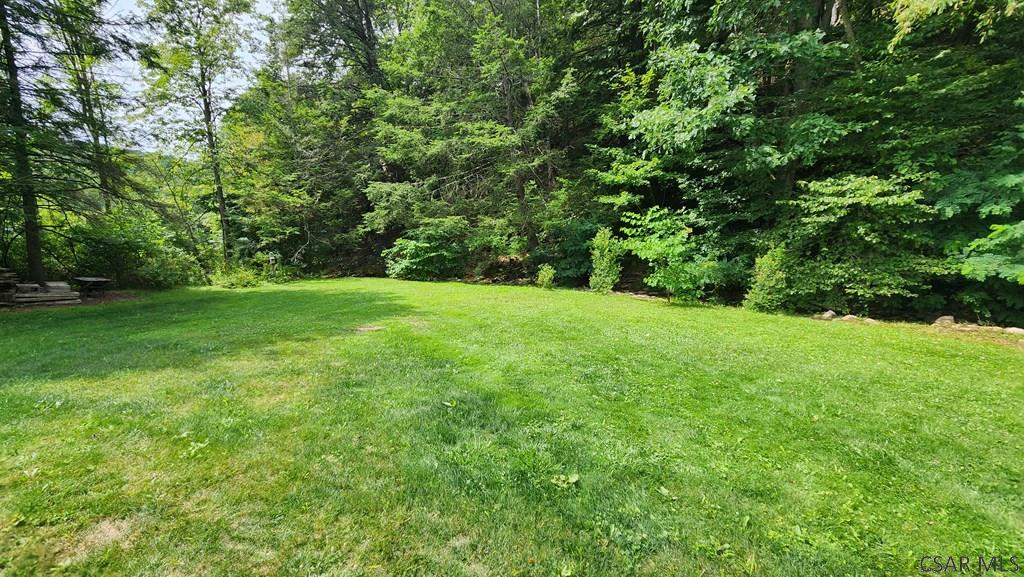 891 Shaffer Run Road Fairhope, PA 15538 - Photo 29 of 38 a view of a big yard with plants and large trees