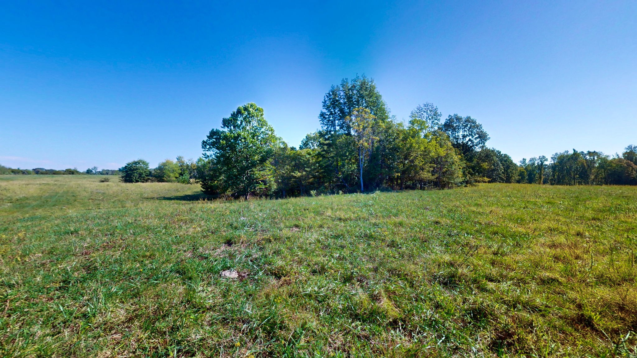 0 Old Murray Paris Road Puryear, TN 38251 - Photo 9 of 18 a view of a grassy field with trees in the background