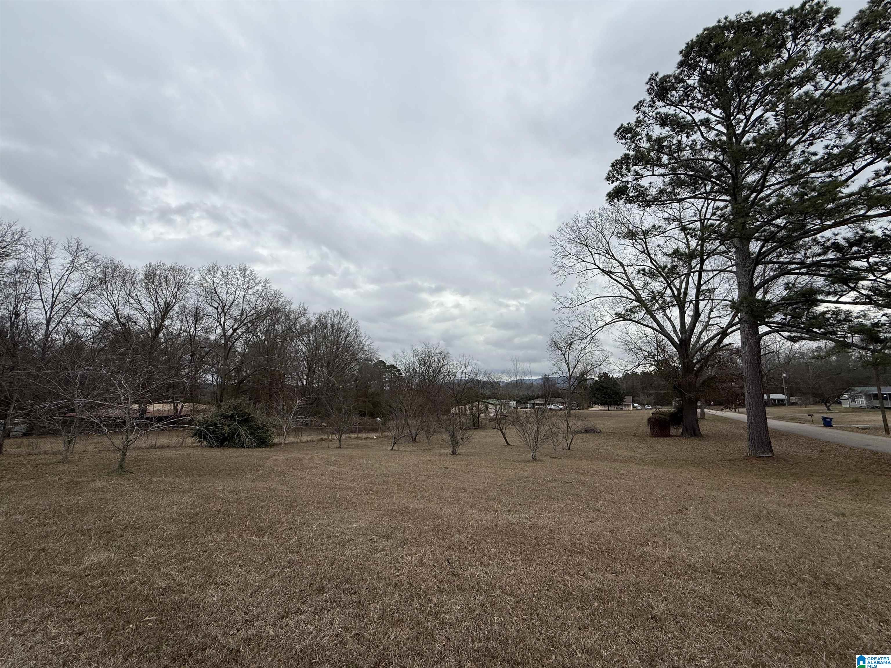 837 Beck Road, Unit 1 Eastaboga, AL 36260 - Photo 1 of 3 Gallery Image 1