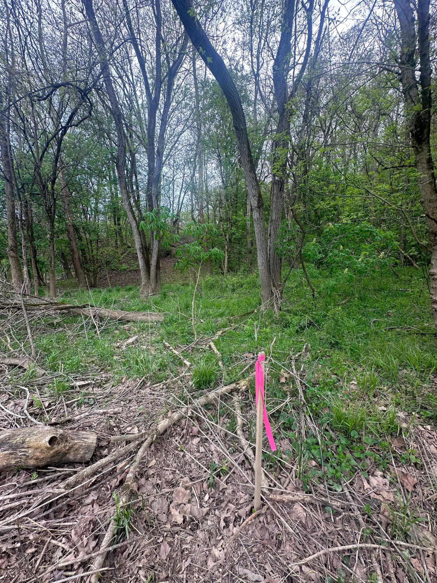 9400 Old River Road Blue Rock, OH 43720 - Photo 15 of 17 Land