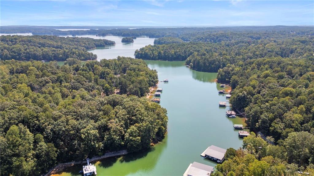 8305 Beryl Overlook Gainesville, GA 30506 - Photo 2 of 45