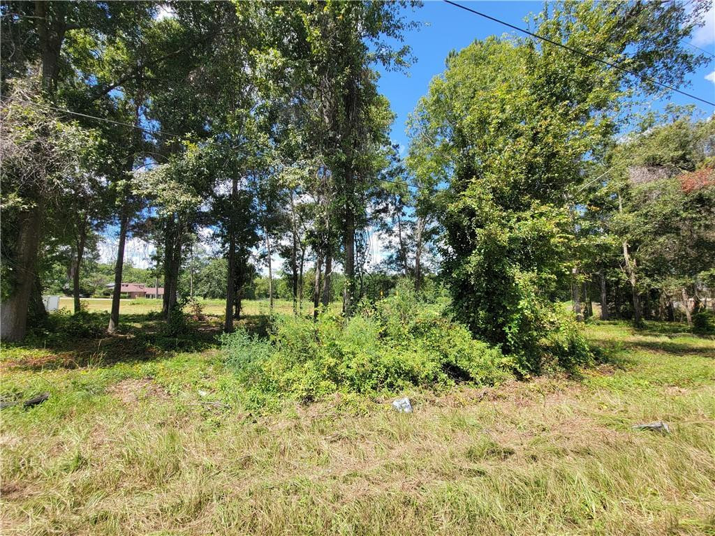 2879 Ben Street Waycross, GA 31503 - Photo 2 of 4