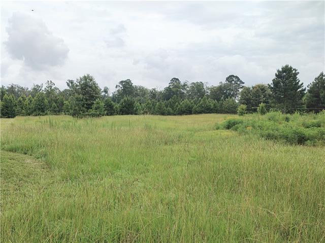 Tbd Posey Road Natchitoches, LA 71457 - Photo 5 of 10