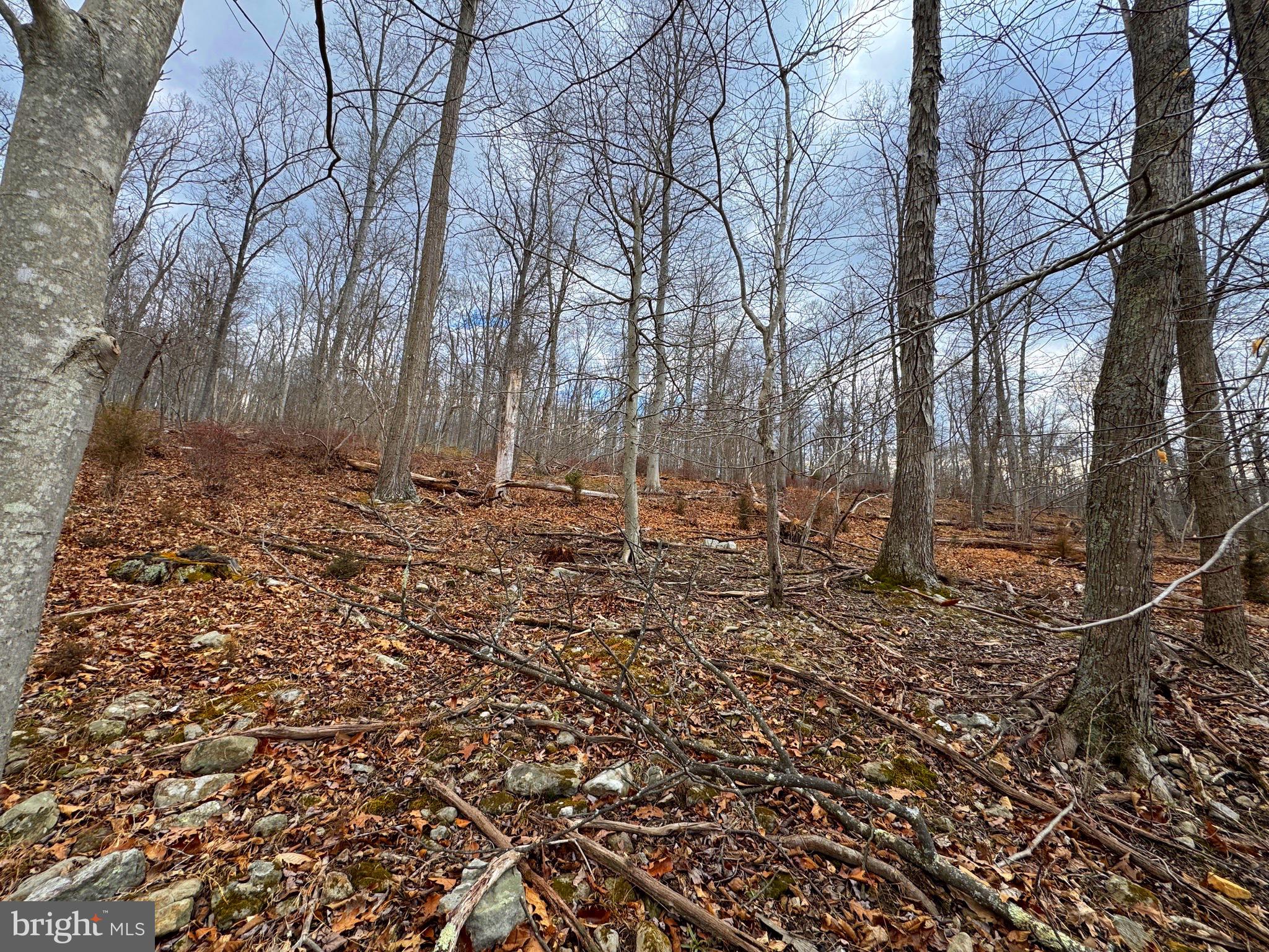 Frog Hollow Road Capon Bridge, WV 26711 - Photo 2 of 10 a backyard of a house with lots of green space