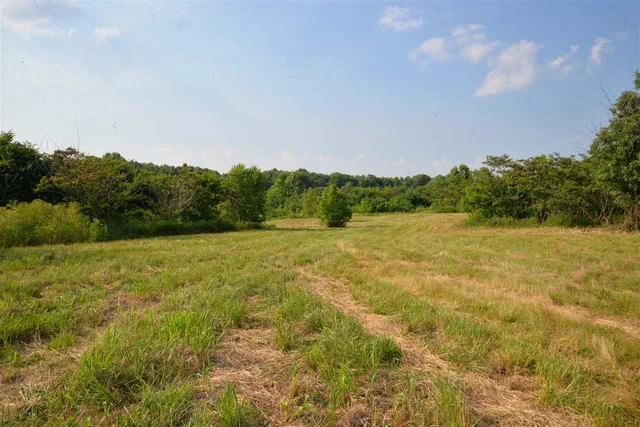 a view of a field with an ocean view