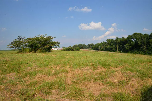 a view of a lake with a city
