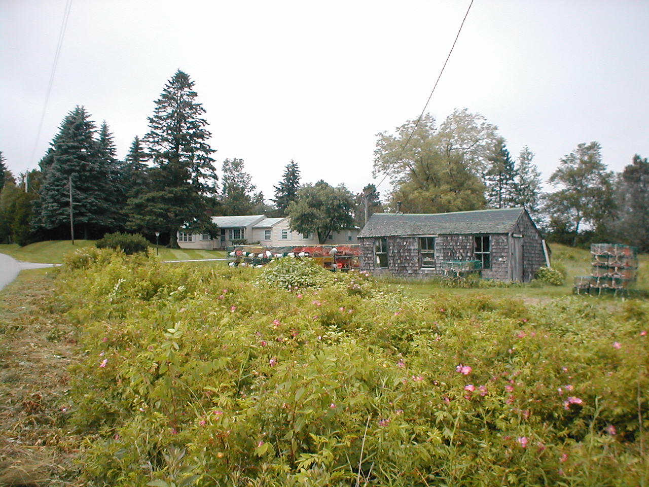 64 Salt Pond Road Friendship, ME 04547 - Photo 12 of 15 12house-w-lobster-shack