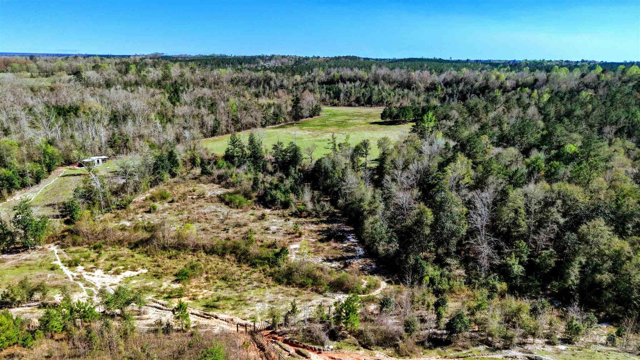 3483 Barrytown Road Gilbertown, AL 36908 - Photo 67 of 72