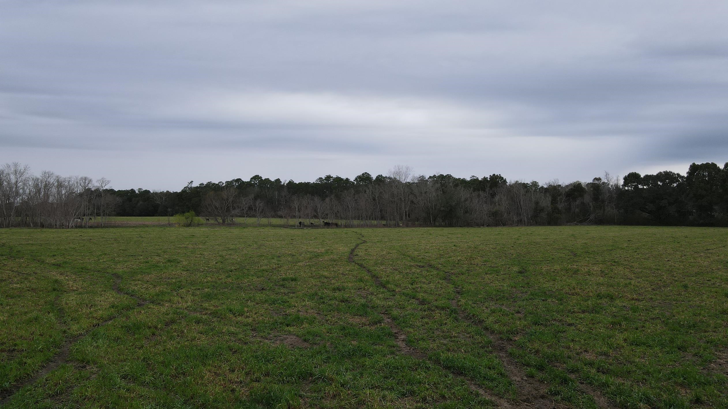 0 Hillcrest Road Lillian, AL 36549 - Photo 14 of 16