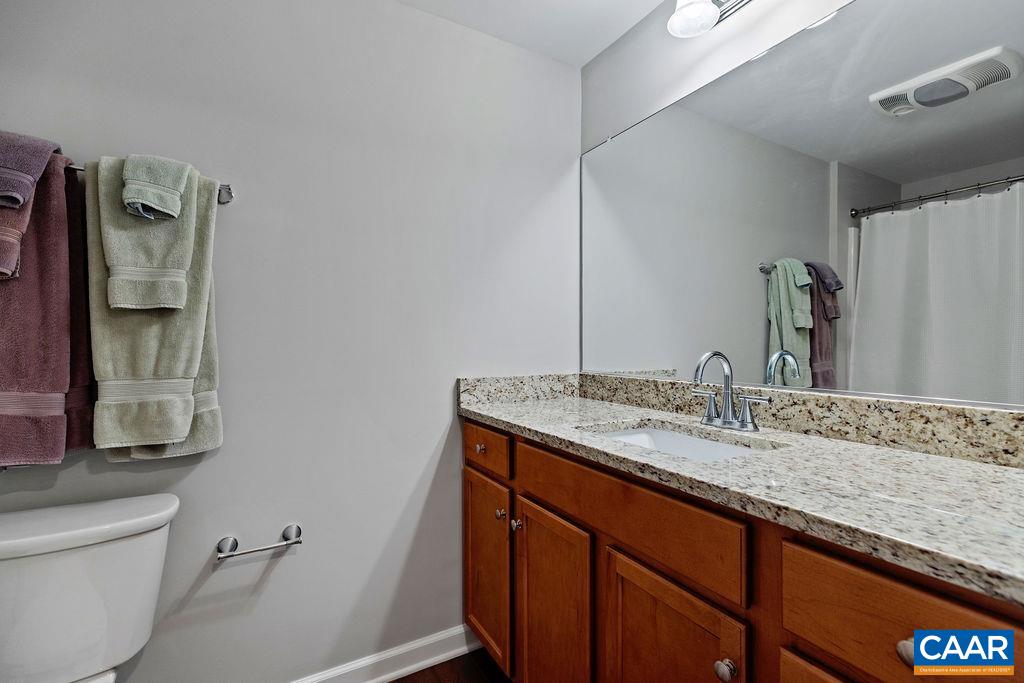 3234 North Ridge Roseland, VA 22967 - Photo 17 of 32 a bathroom with a granite countertop sink and a mirror
