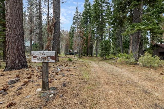 a view of outdoor space with trees