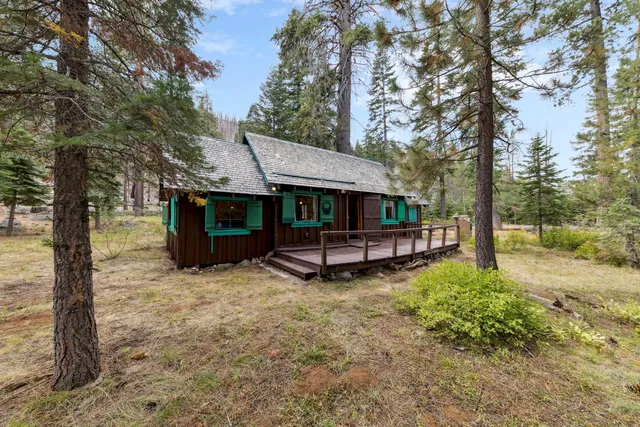 a view of a house with backyard and a tree