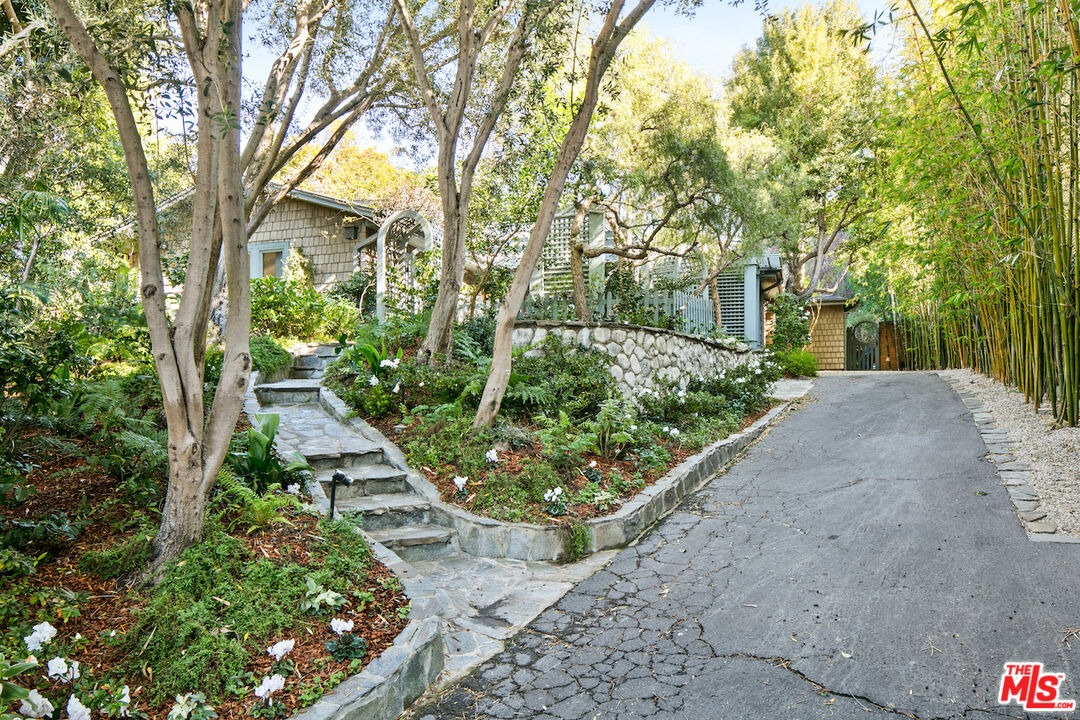 a view of a garden with plants