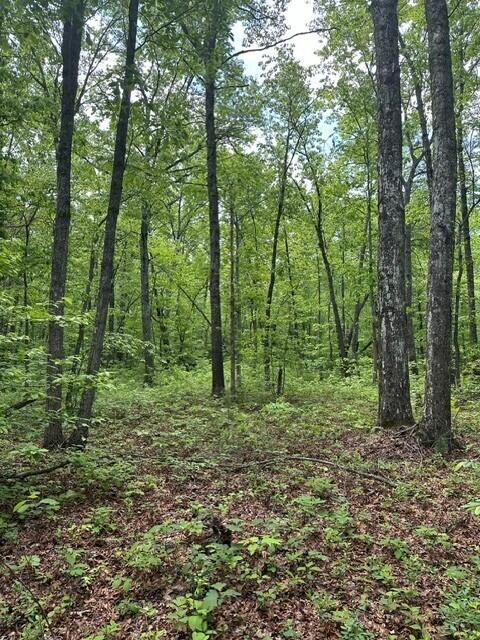 142 Cole Road Deer Lodge, TN 37726 - Photo 22 of 77 25