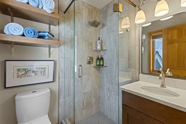 a bathroom with a sink a toilet and shower