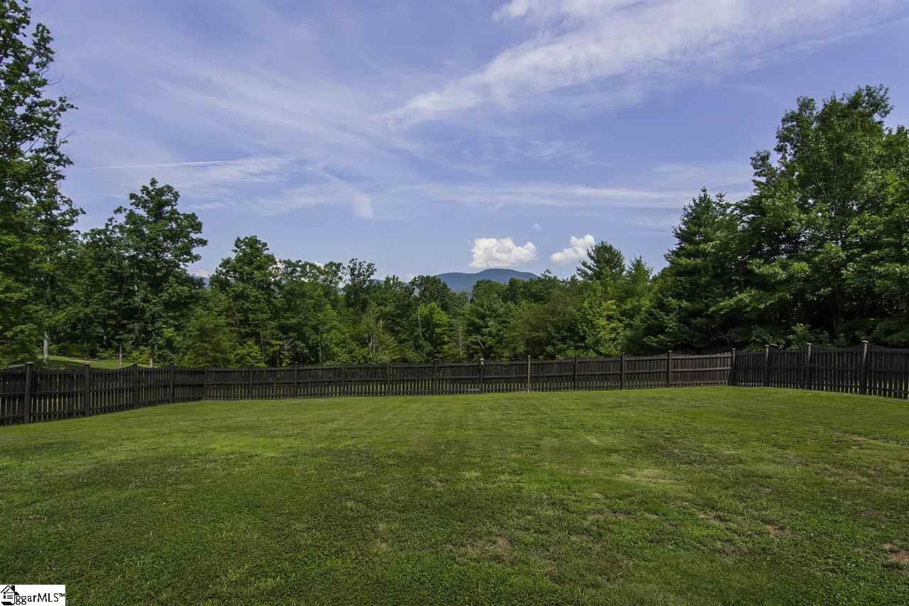 609 Arledge Road Landrum, SC 29356 - Photo 30 of 36