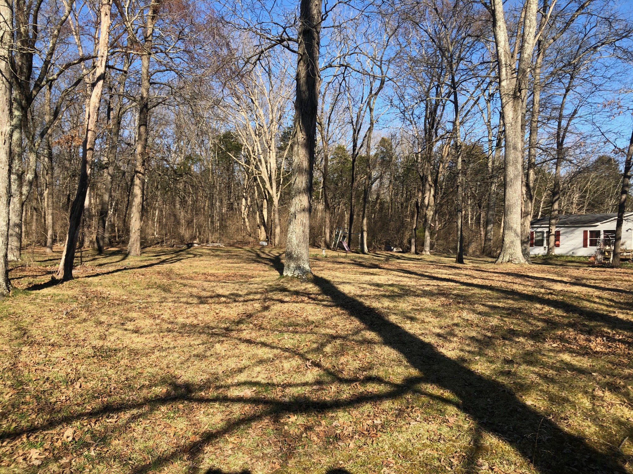 4062 Trinity Road Franklin, TN 37067 - Photo 22 of 44 a view of large space with trees