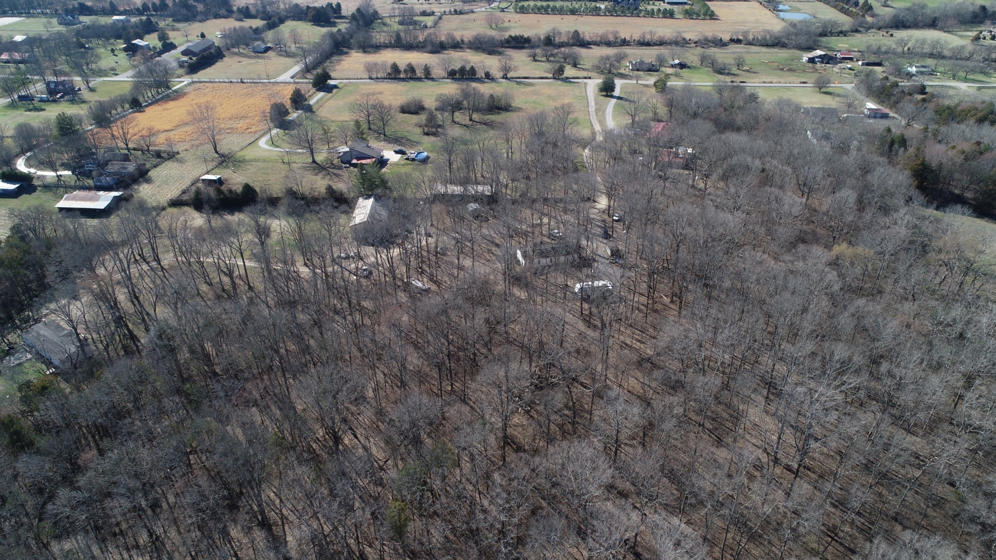 4062 Trinity Road Franklin, TN 37067 - Photo 36 of 44 a view of a forest with a tree