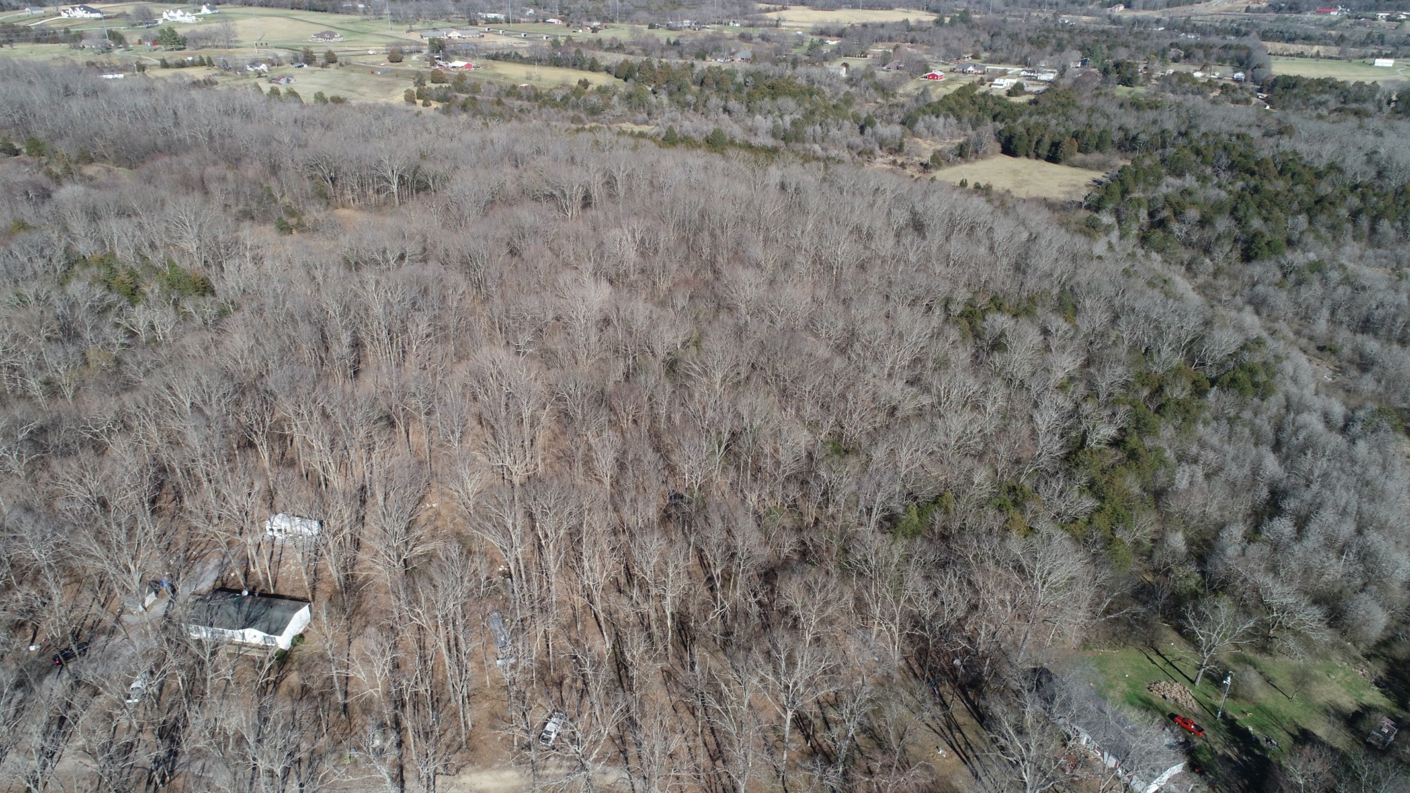 4062 Trinity Road Franklin, TN 37067 - Photo 41 of 44 a view of a dry yard