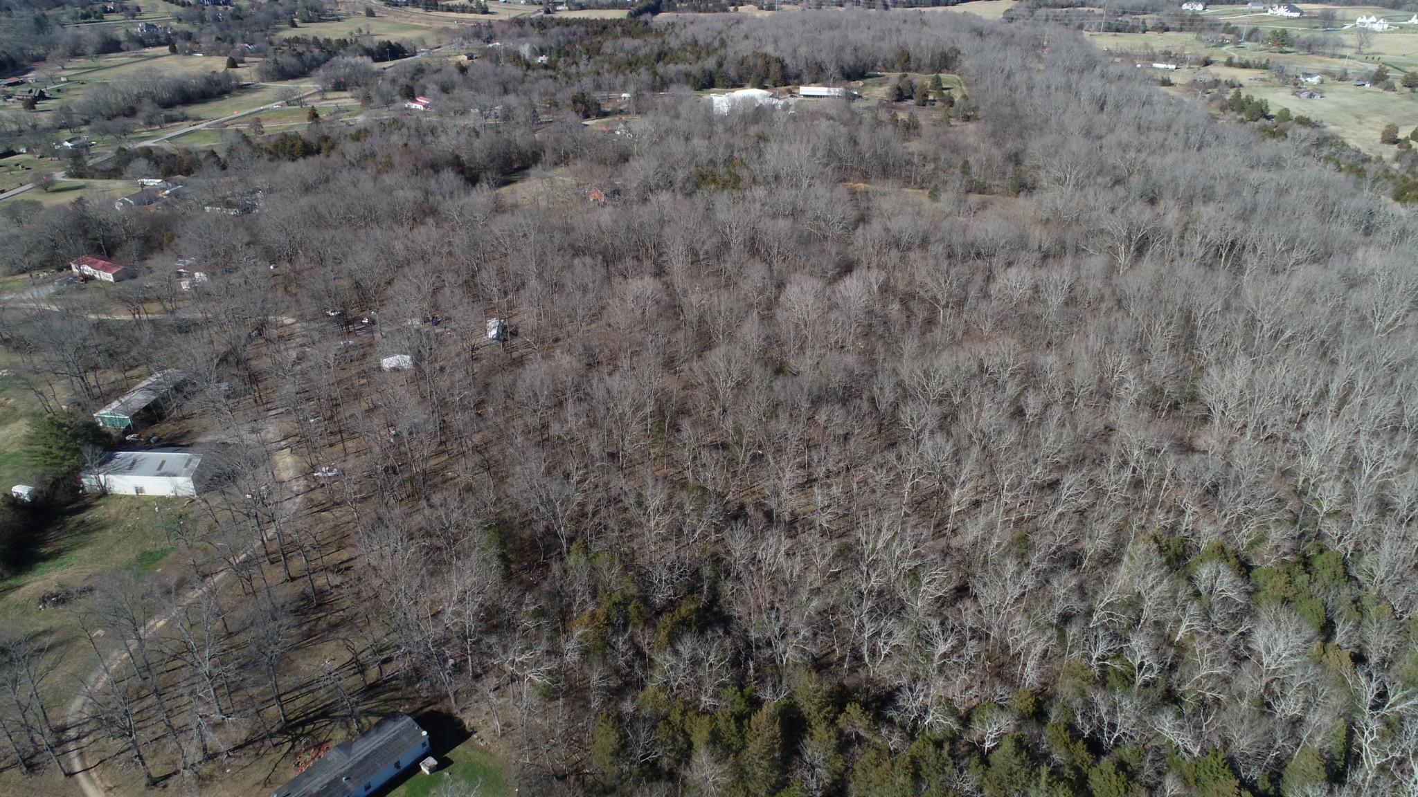 4062 Trinity Road Franklin, TN 37067 - Photo 42 of 44 a view of a dry yard with a and trees