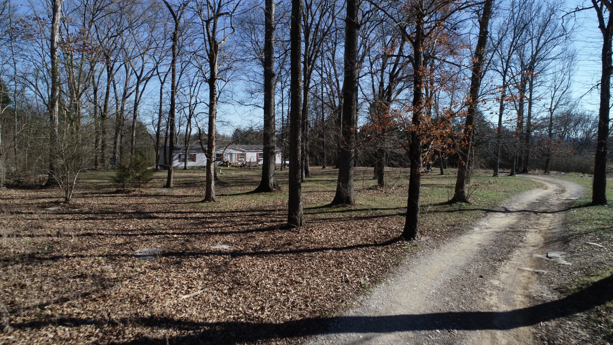 4062 Trinity Road Franklin, TN 37067 - Photo 7 of 44 a view of a backyard with trees