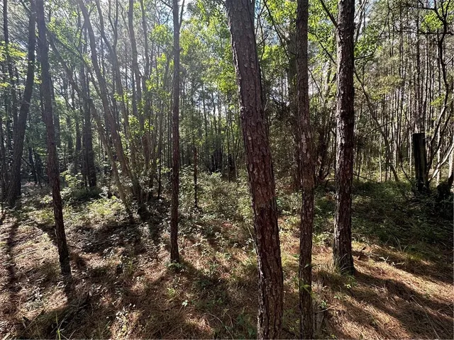 $230,000 | Lot C Highway 1091 Highway, Pearl River, LA 70452
