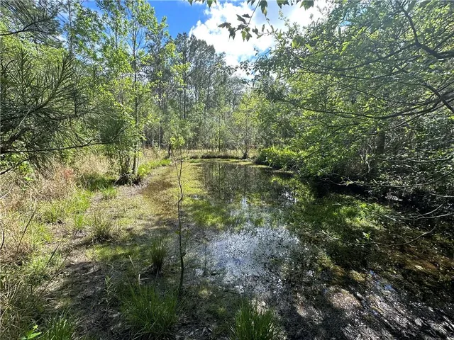 $230,000 | Lot C Highway 1091 Highway, Pearl River, LA 70452