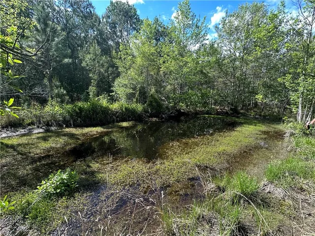 $230,000 | Lot C Highway 1091 Highway, Pearl River, LA 70452