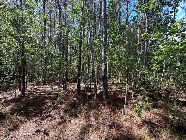 $230,000 | Lot C Highway 1091 Highway, Pearl River, LA 70452