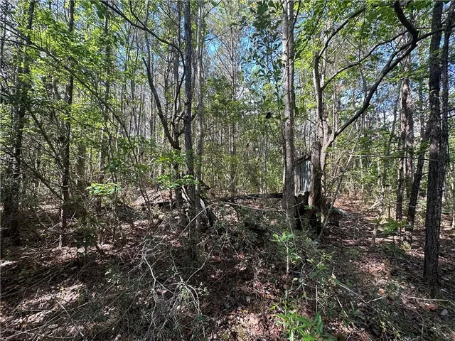 $230,000 | Lot C Highway 1091 Highway, Pearl River, LA 70452