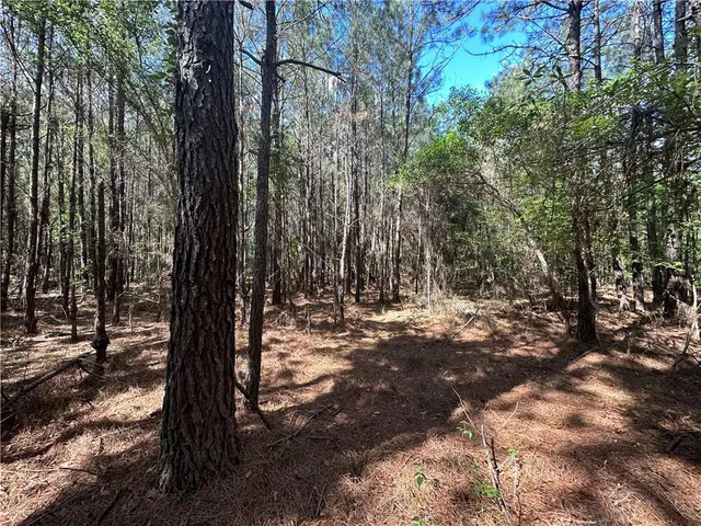 $230,000 | Lot C Highway 1091 Highway, Pearl River, LA 70452