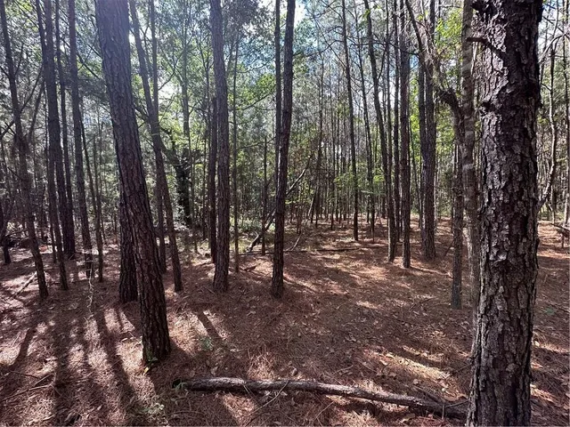 $230,000 | Lot C Highway 1091 Highway, Pearl River, LA 70452