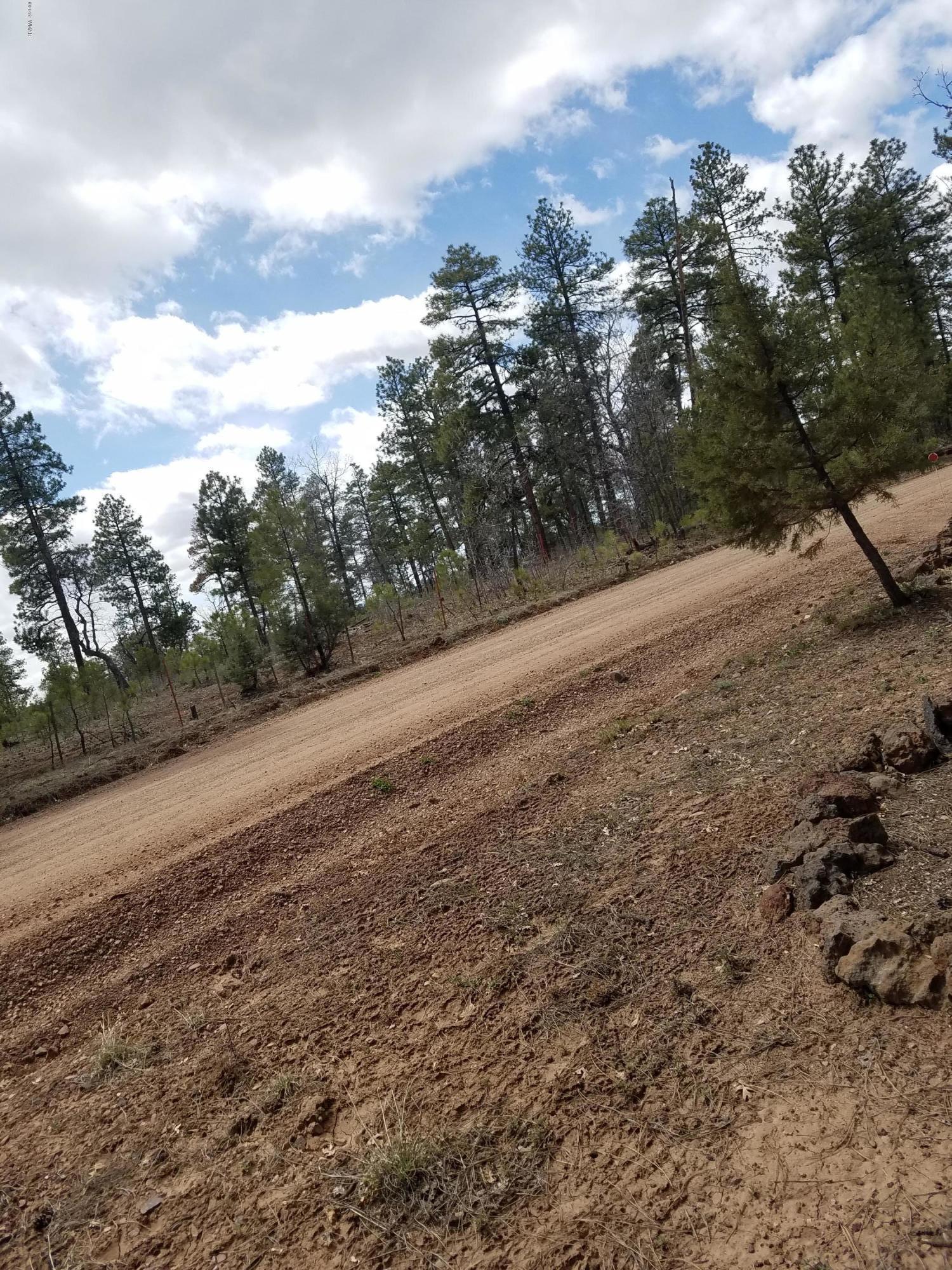 1444 West Rim Road Lakeside, AZ 85929 - Photo 3 of 38 Gallery Image 3