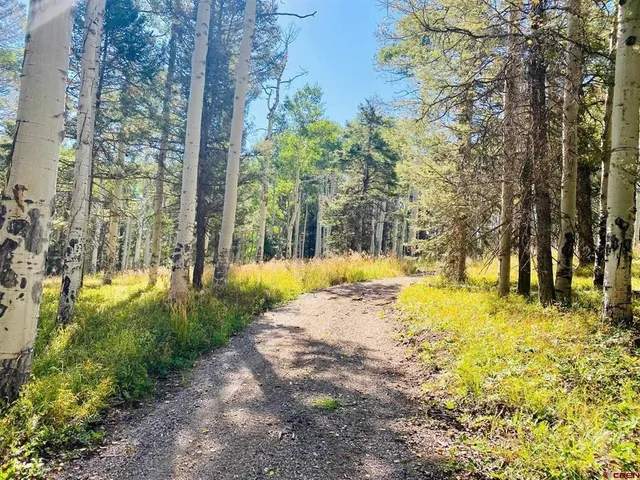 a view of swimming pool with lawn chairs and large trees