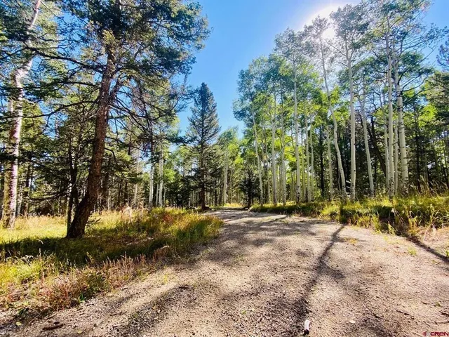 a view of outdoor space with trees