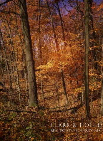 $6,000 | 0 Lakeside Drive, Perrinton, MI 48871