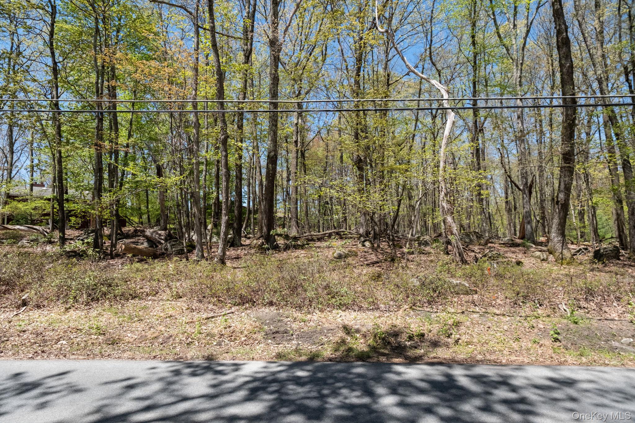 Wolf Pond Road Wurtsboro, NY 12790 - Photo 6 of 13