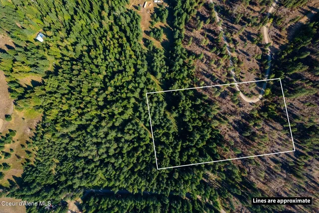 $125,000 | Lot 2 Moose Mountain Road, Priest River, ID 83856