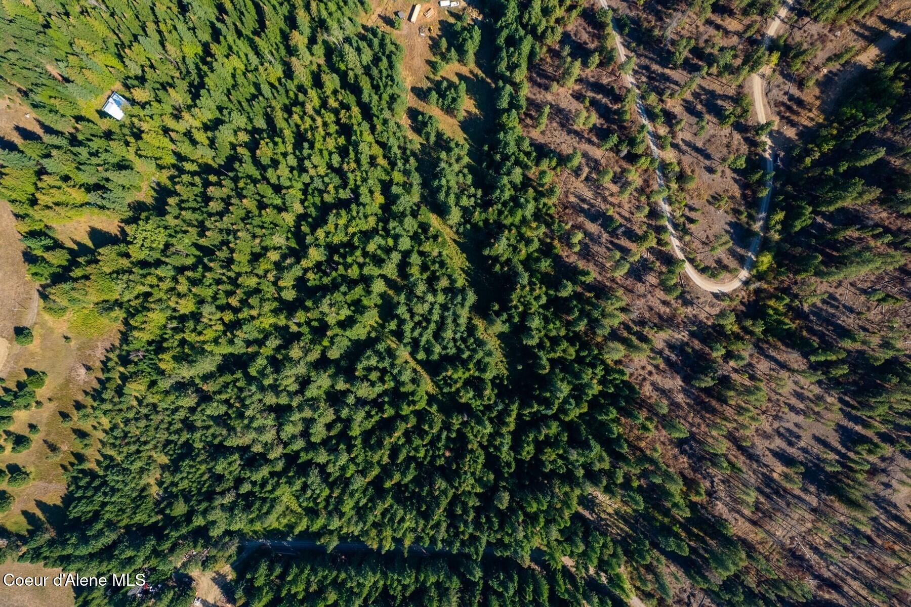 Lot 2 Moose Mountain Road Priest River, ID 83856 - Photo 3 of 8 85700945