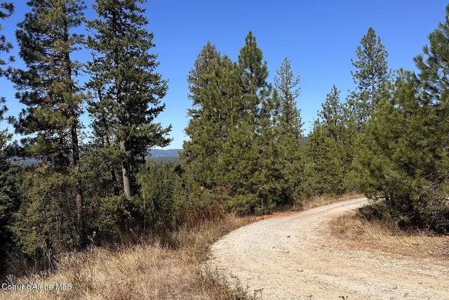 $125,000 | Lot 2 Moose Mountain Road, Priest River, ID 83856