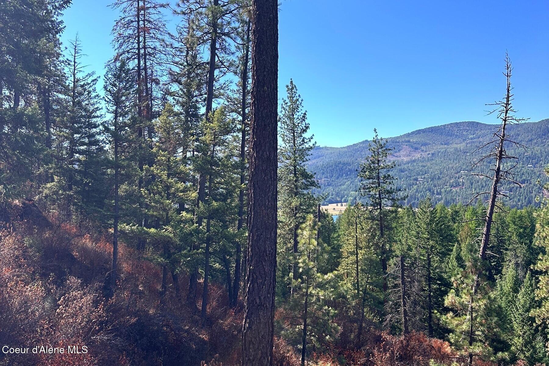 Lot 2 Moose Mountain Road Priest River, ID 83856 - Photo 5 of 8 85710225