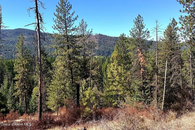 $125,000 | Lot 2 Moose Mountain Road, Priest River, ID 83856