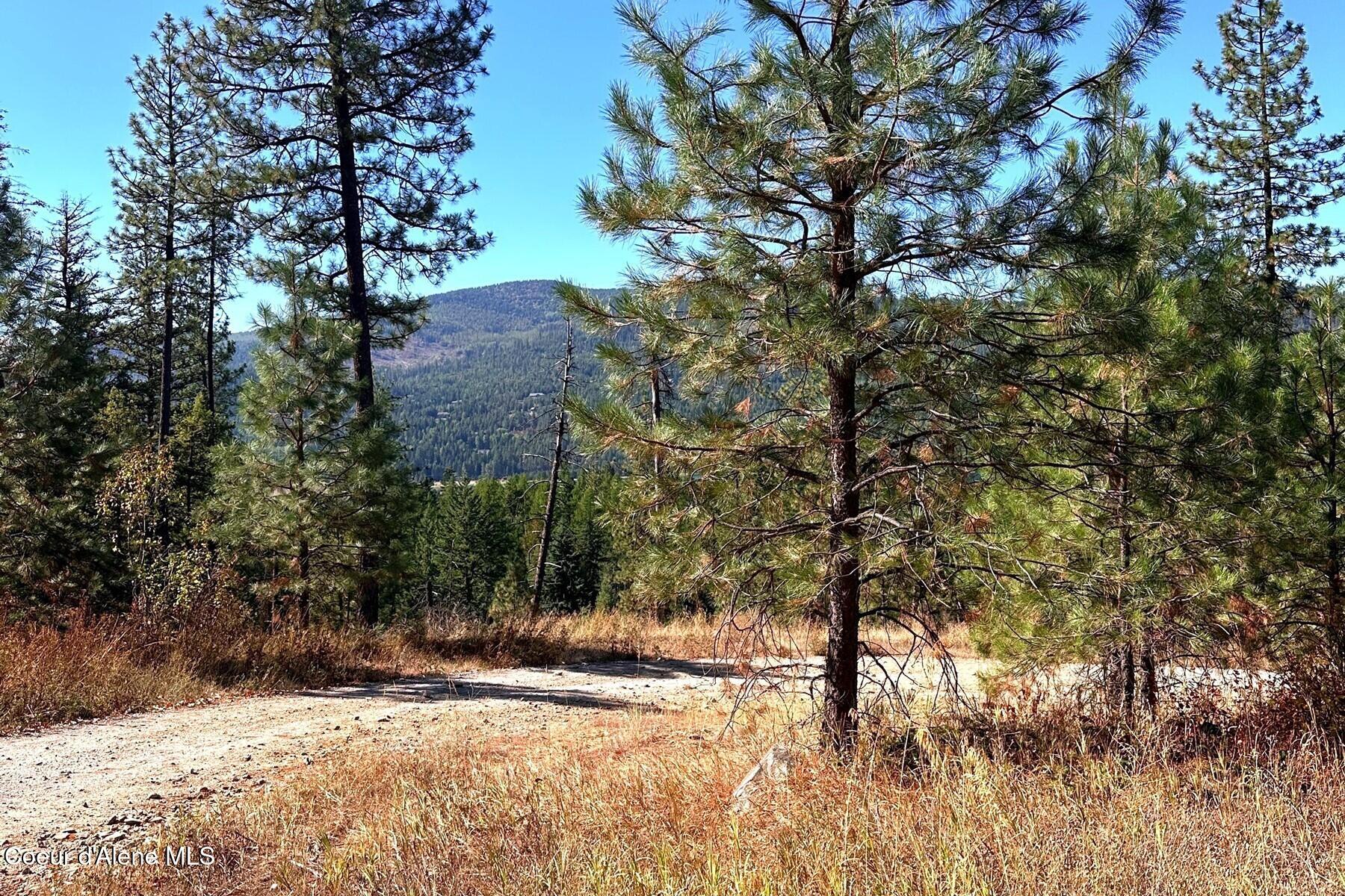 Lot 2 Moose Mountain Road Priest River, ID 83856 - Photo 7 of 8 85710227