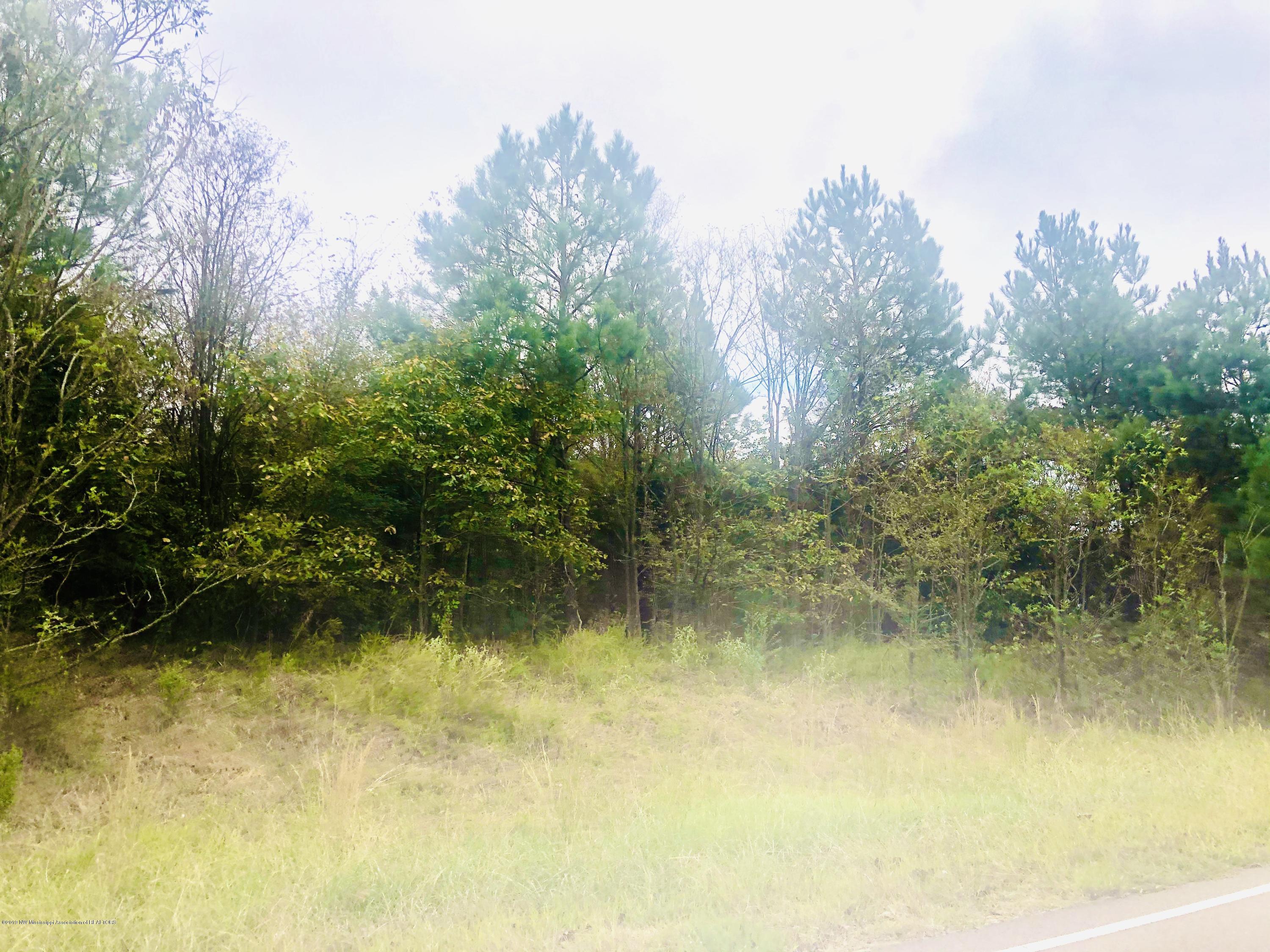 Lot 1 Poagville Road Coldwater, MS 38618 - Photo 4 of 5 B4AE92A6-4121-41ED-847A-2D7FFD533869