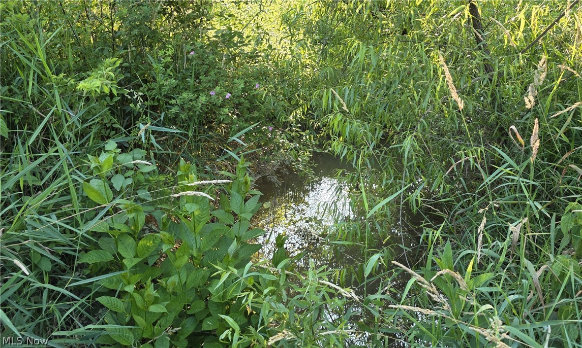 6820 Crane Run Road Cumberland, OH 43732 - Photo 12 of 29 Image quality insufficient for description