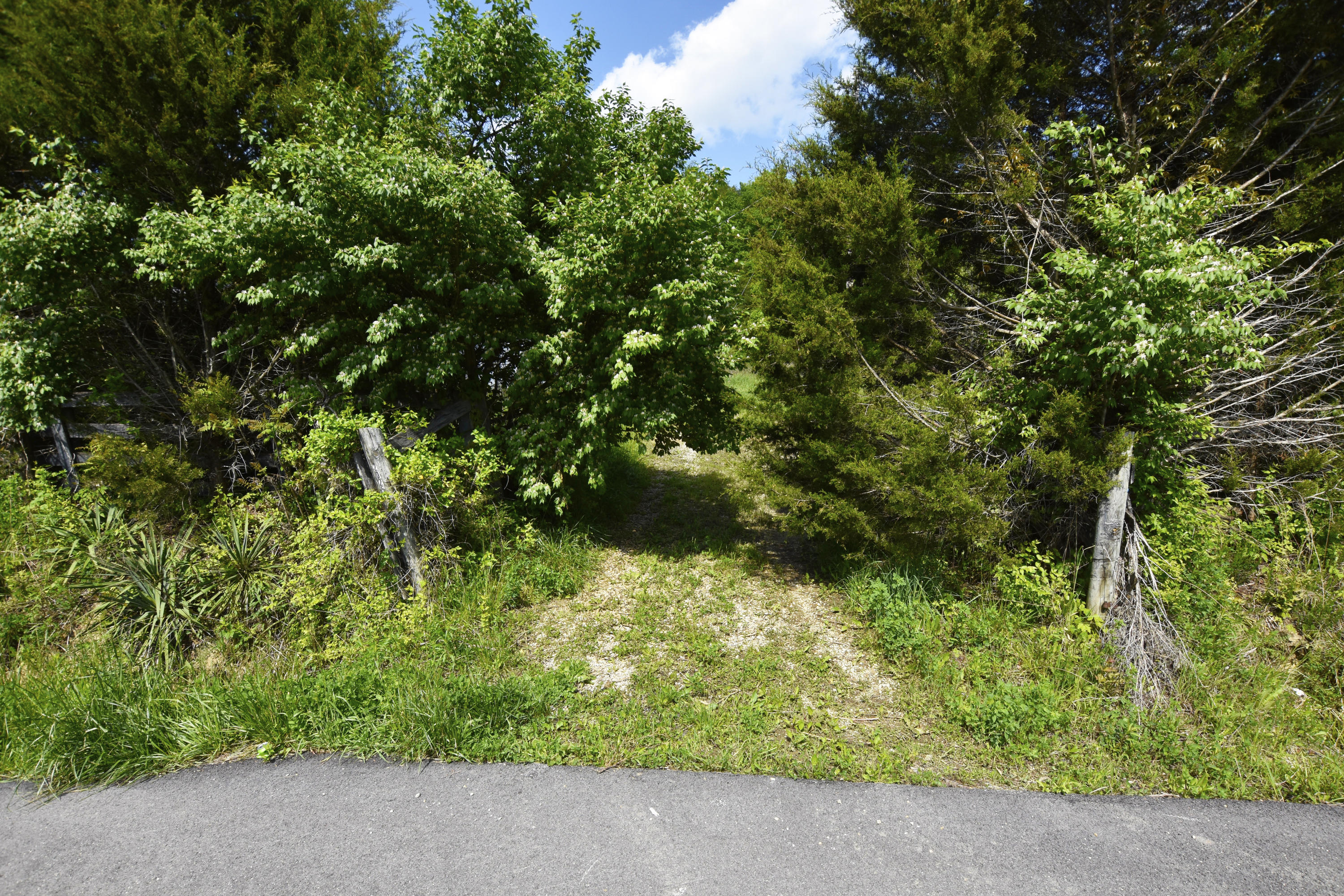 2771 Little Rock Road Irvine, KY 40336 - Photo 26 of 35 Entrance to homestead!