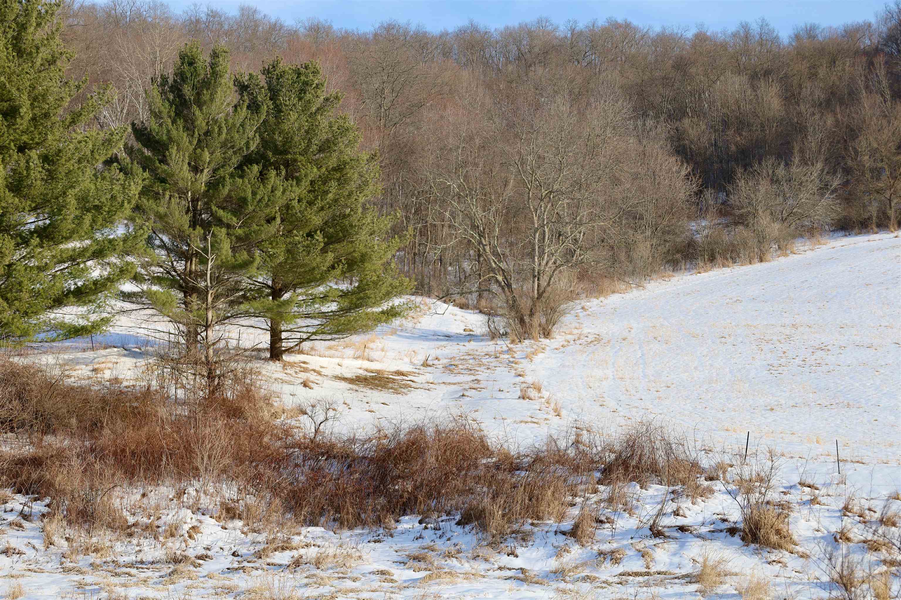 Tbd Wheat Hollow Road Cazenovia, WI 53924 - Photo 23 of 52