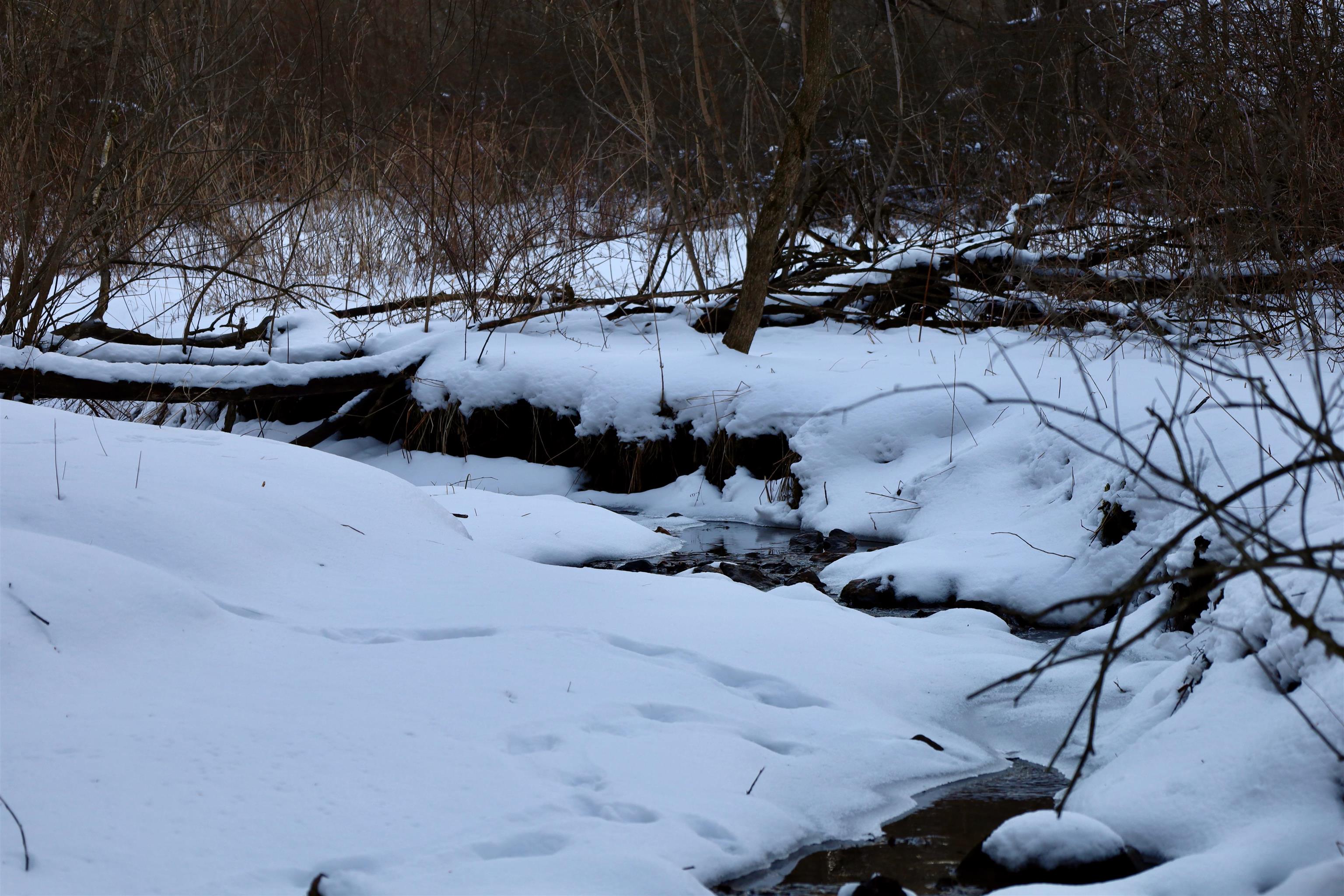 Tbd Wheat Hollow Road Cazenovia, WI 53924 - Photo 27 of 52