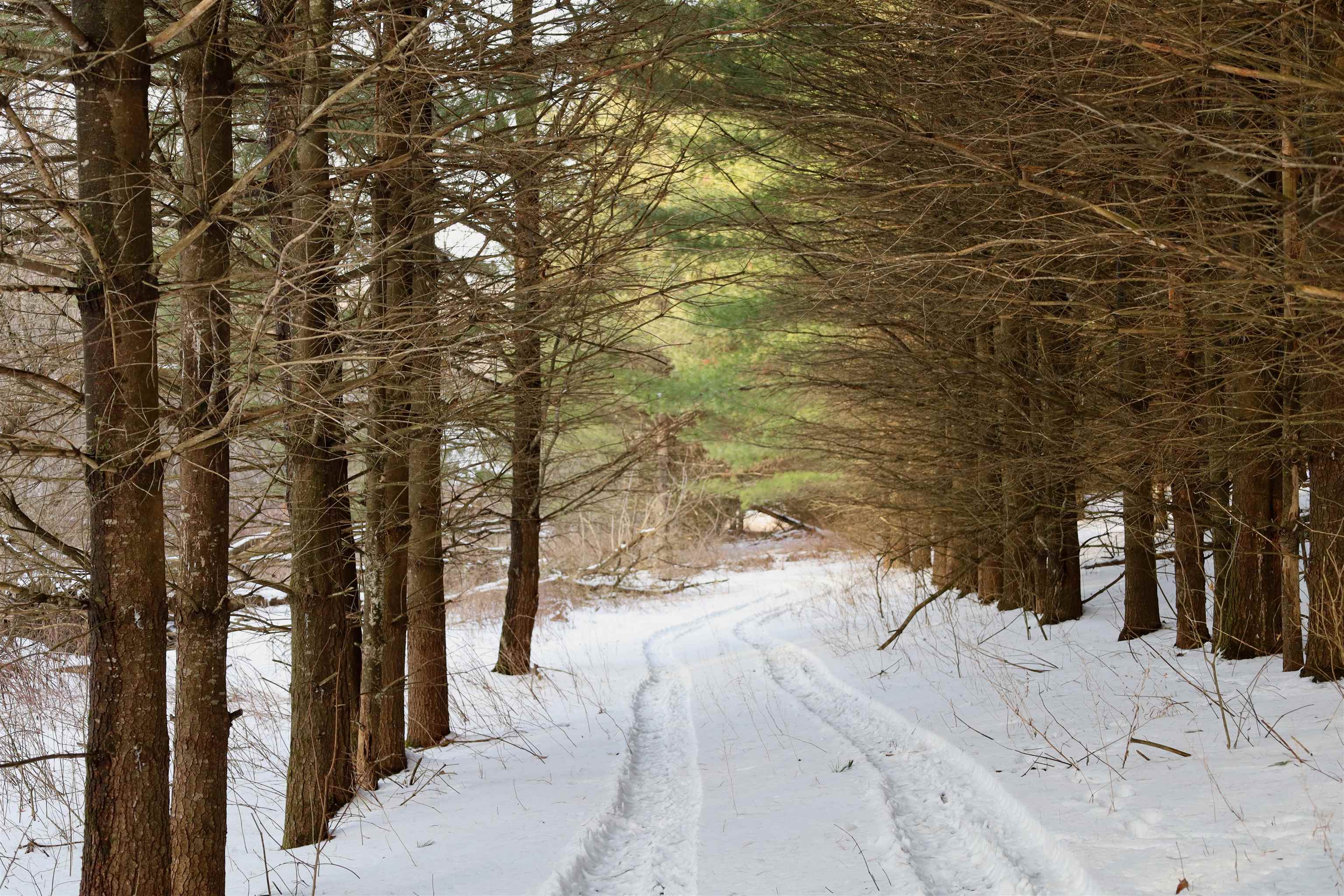 Tbd Wheat Hollow Road Cazenovia, WI 53924 - Photo 28 of 52