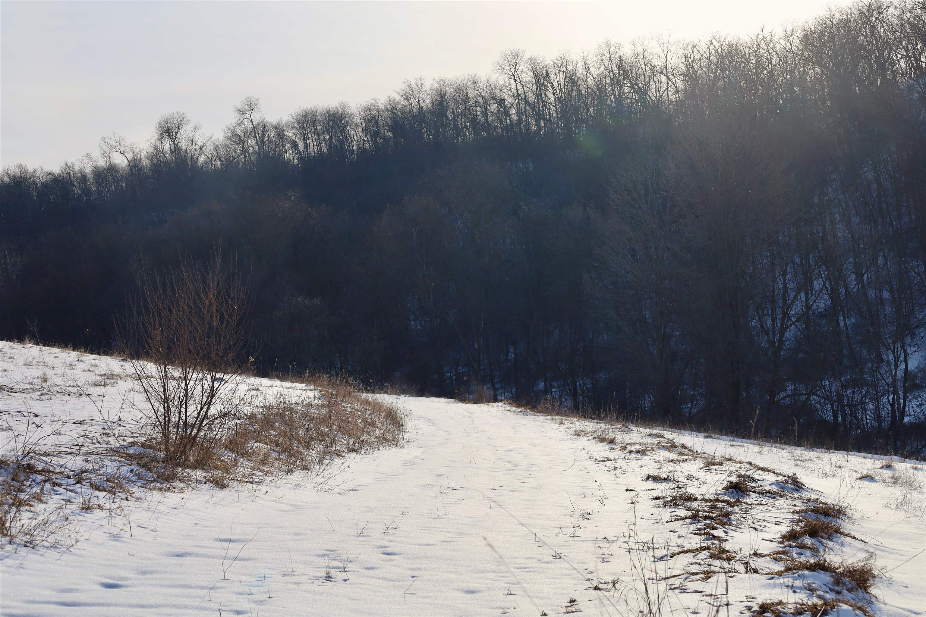 Tbd Wheat Hollow Road Cazenovia, WI 53924 - Photo 30 of 52